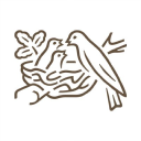 Nestle India Limited logo